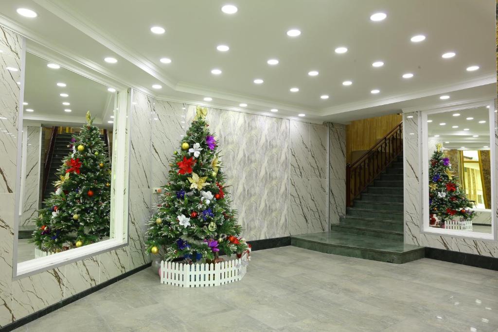 Fotografie z fotogalerie ubytování Dkd-bridge Hotel v destinaci Tbilisi City