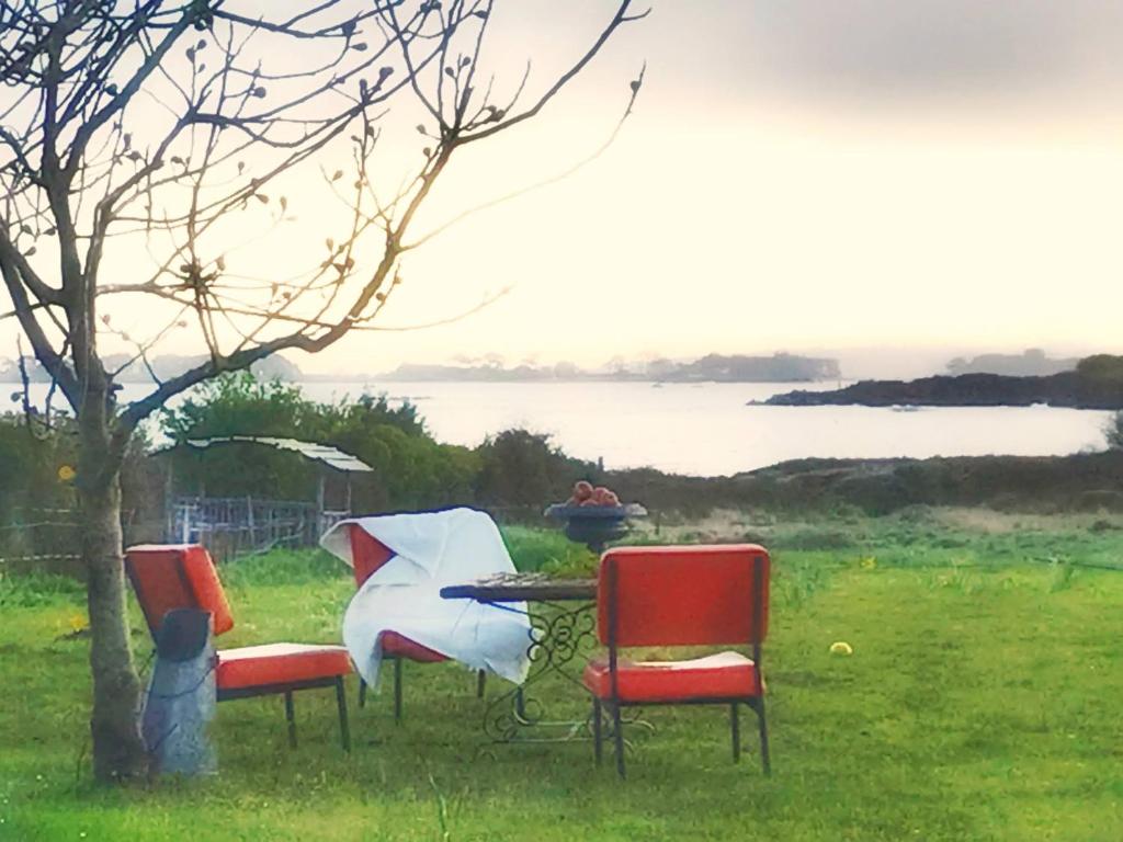 3 Stühle und ein Tisch mit einem Regenschirm im Gras in der Unterkunft Le petit gîte cosy de Kerigou avec vue mer et plage in Saint-Pol-de-Léon