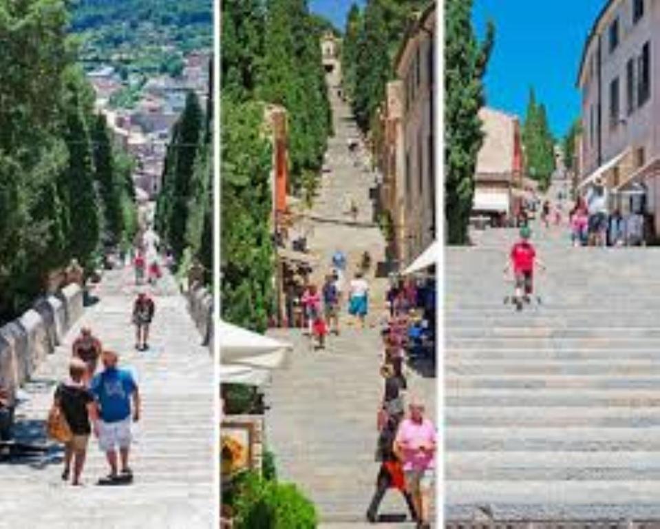 Fotografie z fotogalerie ubytování Calvari, 42 v destinaci Pollença