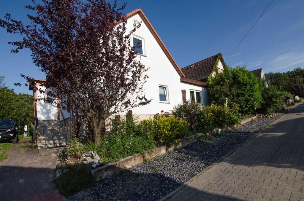 une maison blanche avec un arbre à côté d'une rue dans l'établissement Ferienhaus Luette_, à Lohme