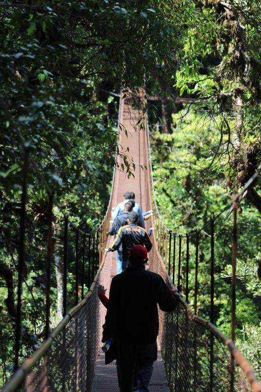 Huéspedes de TREE TREK BOQUETE Adventure Park