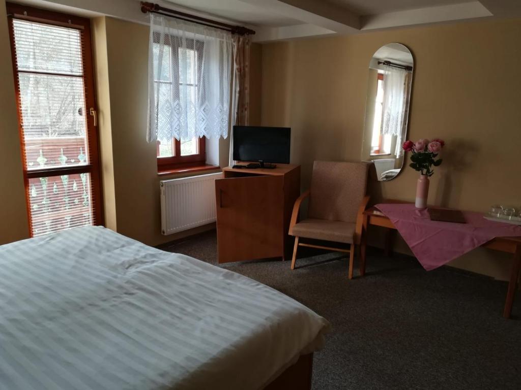 Televiisor ja/või meelelahutuskeskus majutusasutuses Hotel Kralicek