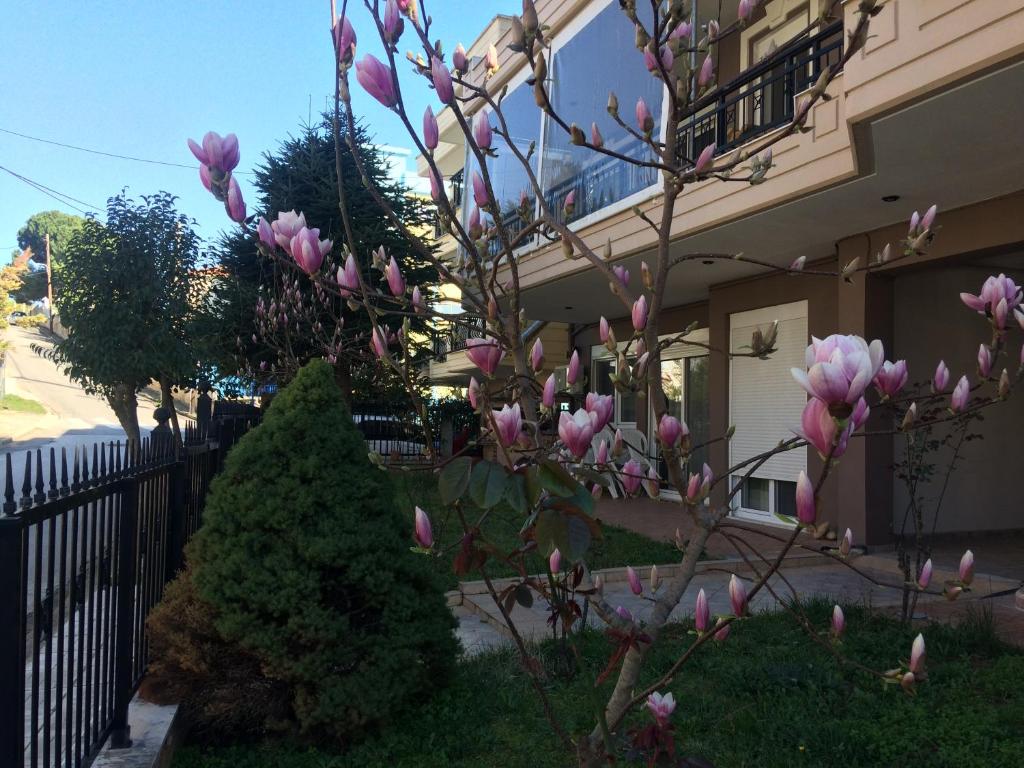 un árbol con flores rosas delante de una casa en Summertimes en Alexandroupolis