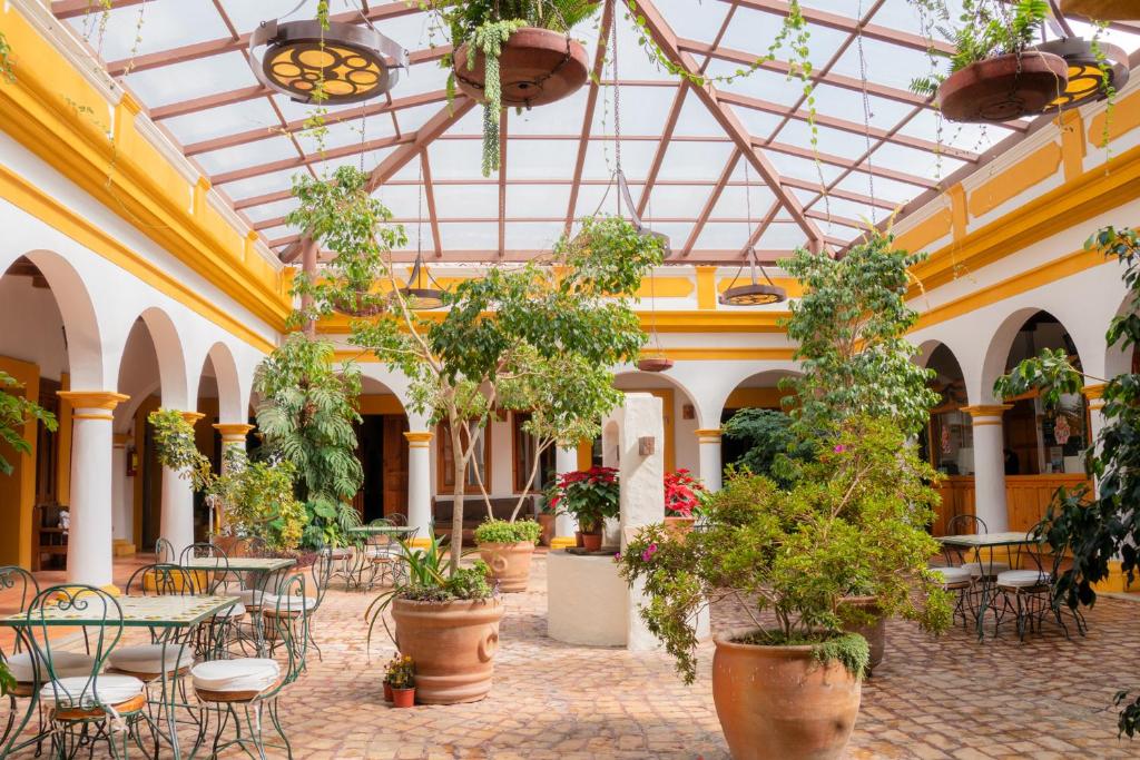 Restaurace v ubytování Hotel Casa Margarita