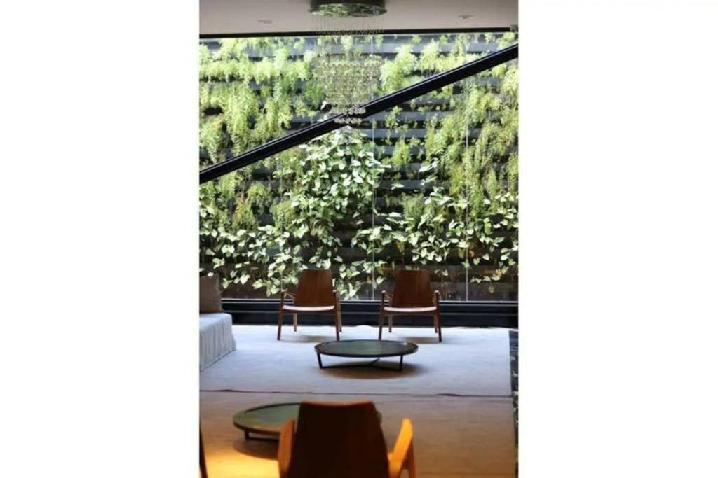  Confortável studio na Ponta verde