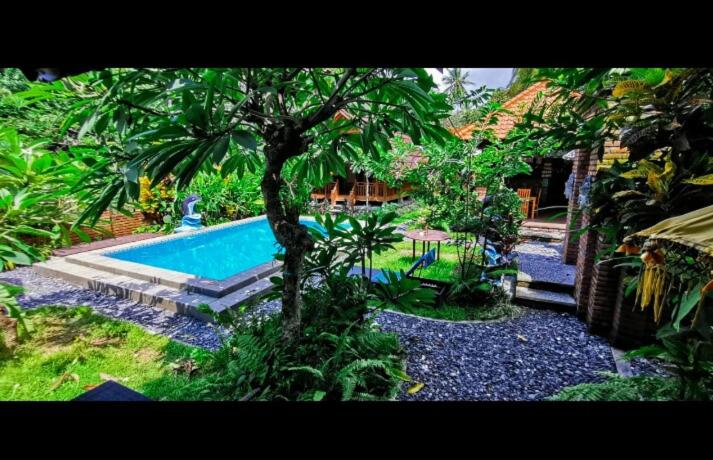 - une piscine avec un palmier dans la cour dans l'établissement Halumba Eco Villa Bali, à Tejakula