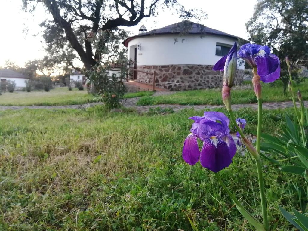Apartahoteles CHOZOS de la DEHESA en La Roca de la Sierra, Extremadura