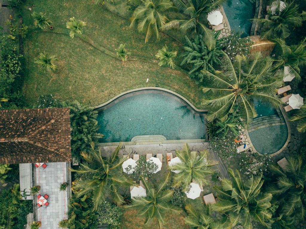 Bazén v ubytování Alaya Resort Ubud nebo v jeho okolí