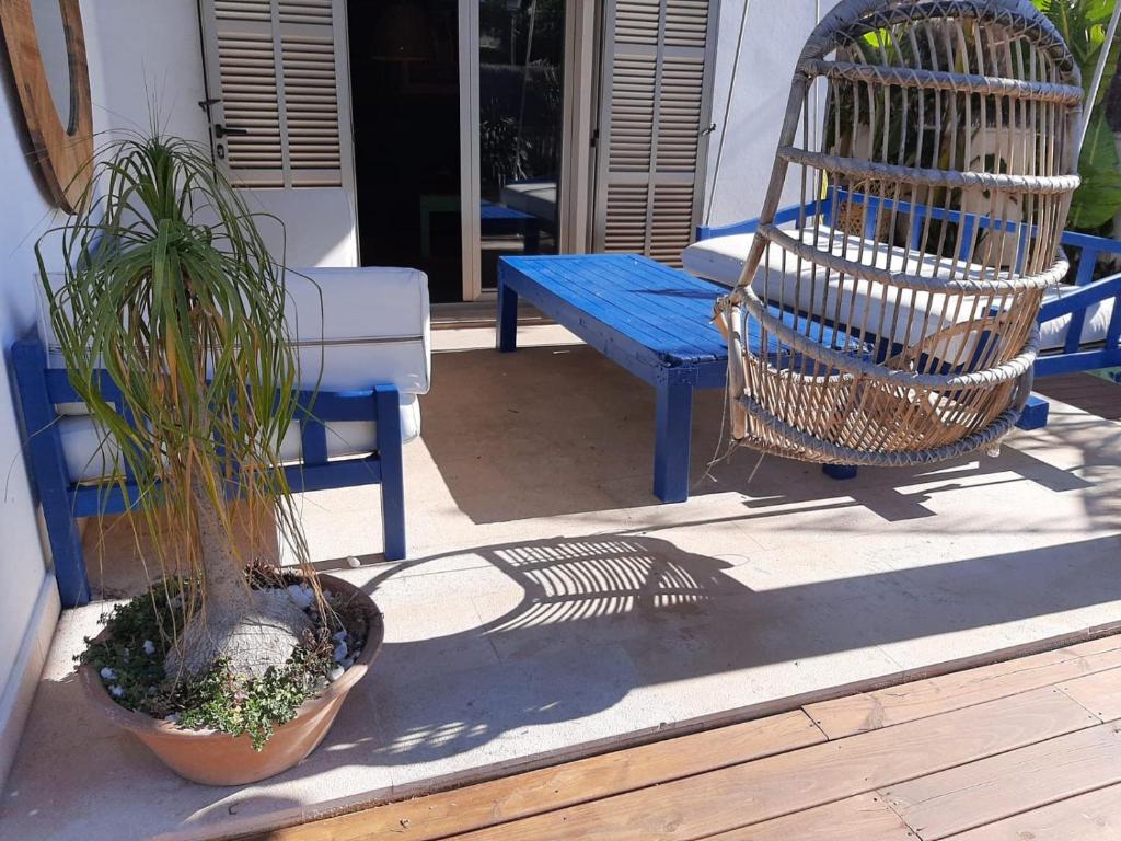 Патио или другая зона на открытом воздухе в Ca n'Alorda Holiday Home Cala Llombards piscina, wifi, seguridad y relax