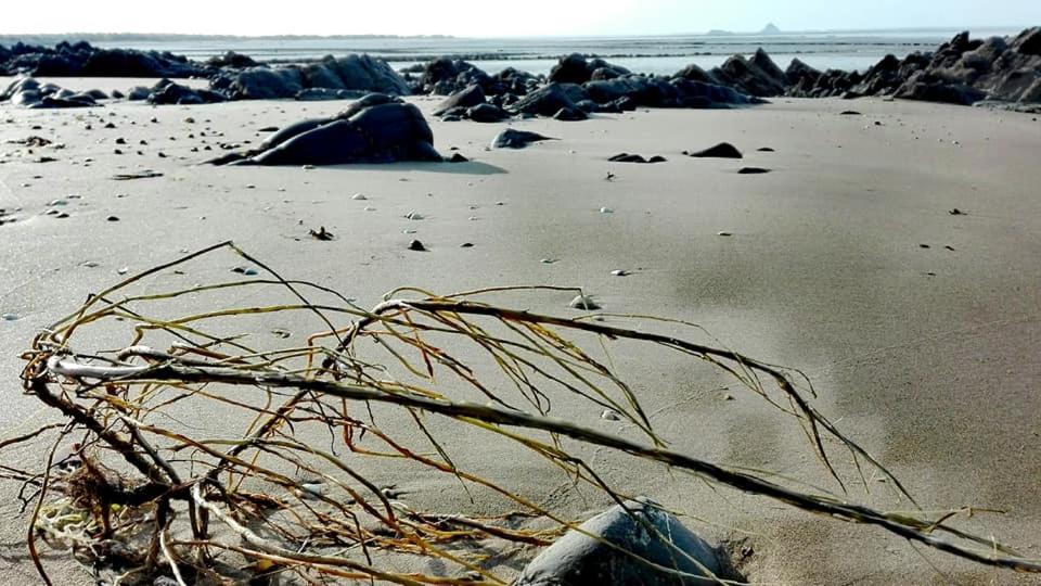 En strand ved eller i nærheten av ferieboligen