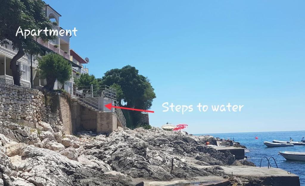 Příroda nedaleko apartmánu