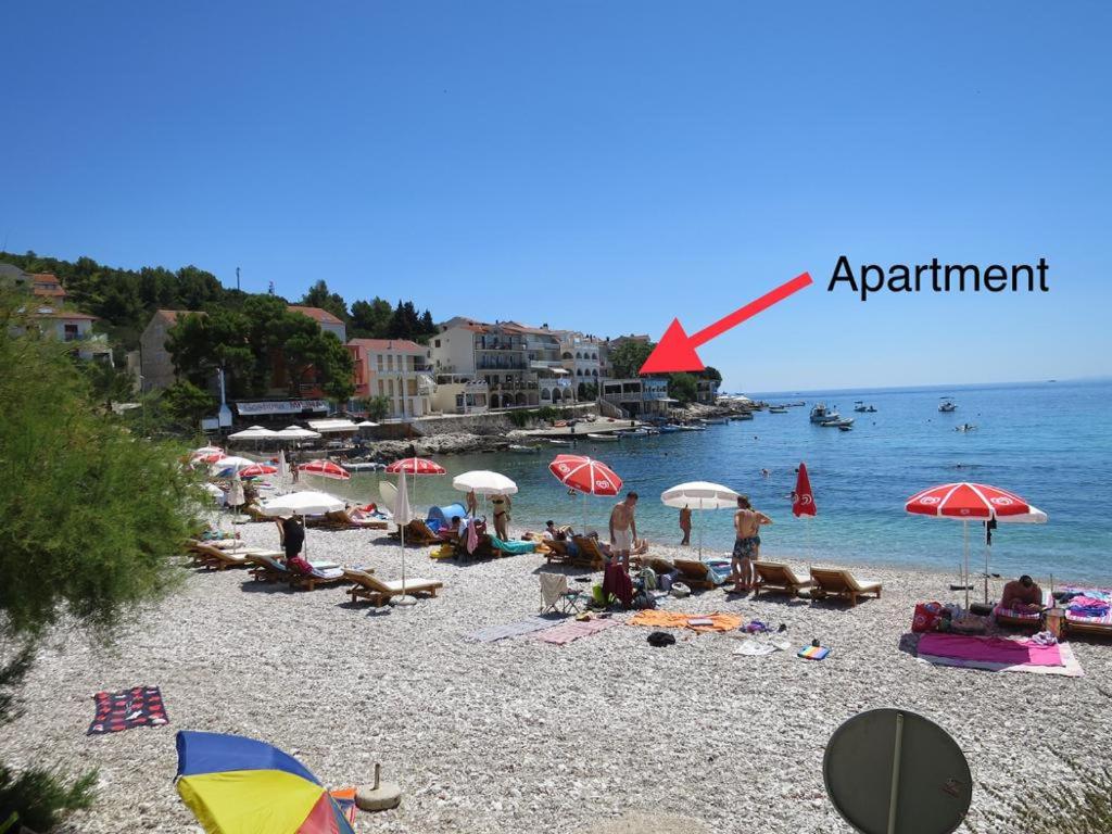 Příroda nedaleko apartmánu