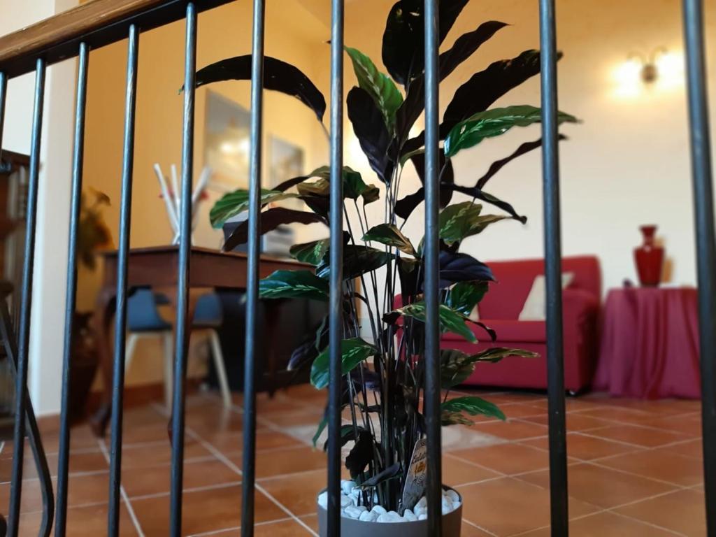 Fotografie z fotogalerie ubytování Holiday Rooms Portale Pirrera v destinaci Modica