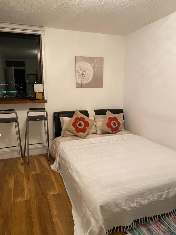 Room in Central London Overview Thames, London, United Kingdom