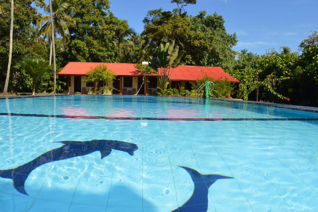 two dolphins swimming in a large swimming pool at Zum Deutschen in Bentota