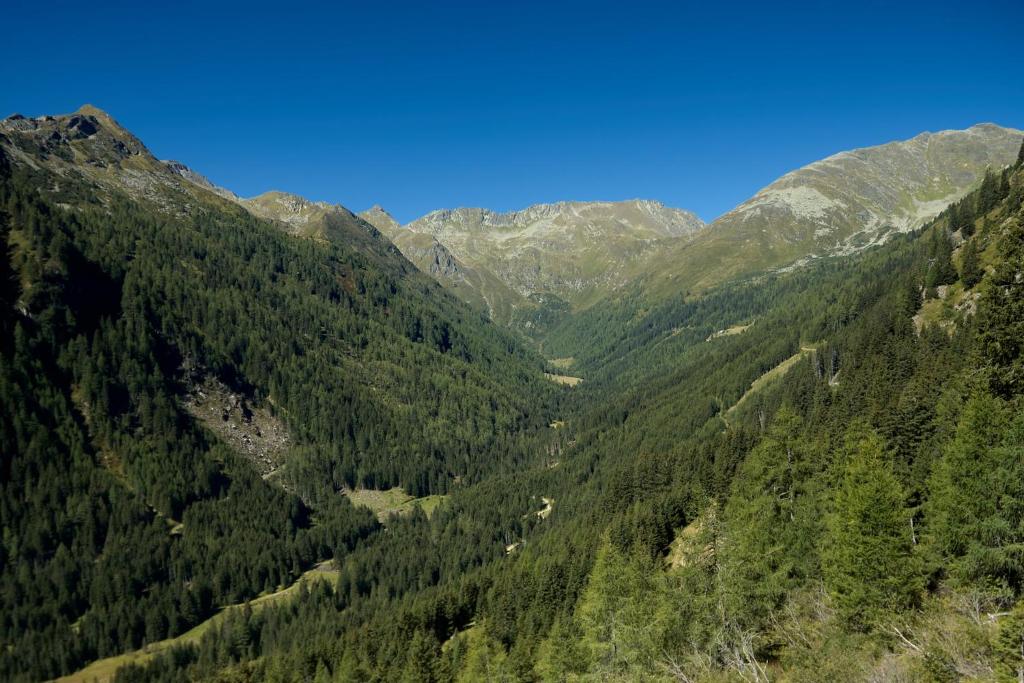 Příroda nedaleko apartmánu