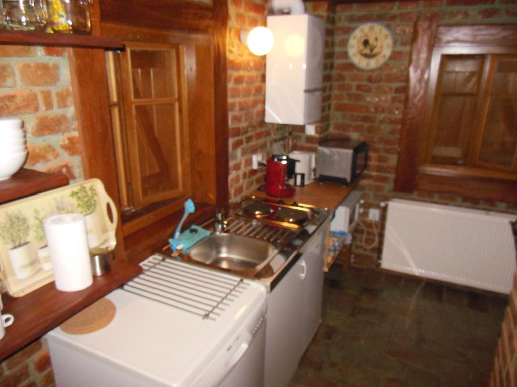 a small kitchen with a sink and a stove at Cottage Plavi Lav Potok in Potok