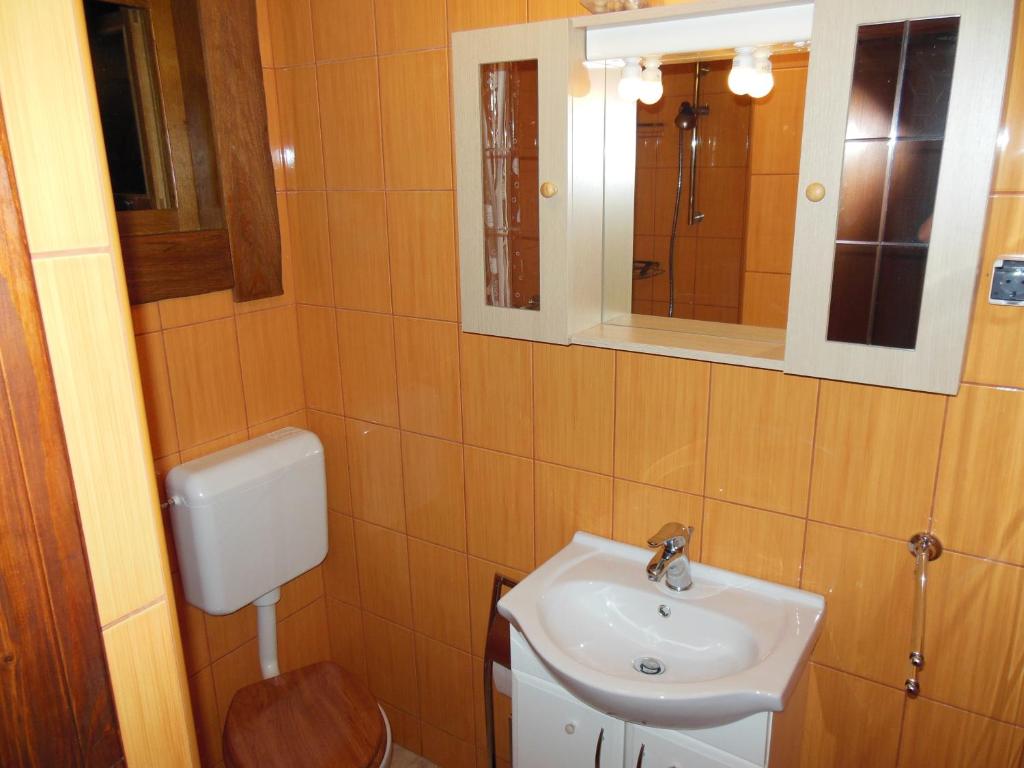 a bathroom with a sink and a toilet and a mirror at Cottage Plavi Lav Potok in Potok