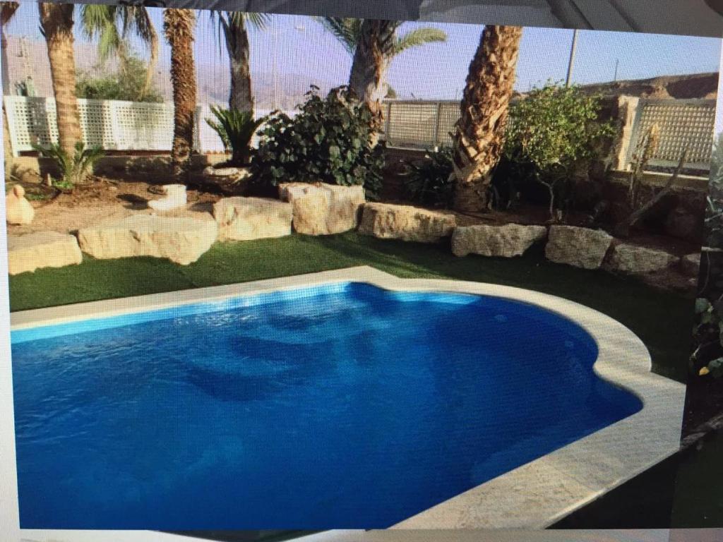 a large blue swimming pool in a yard with palm trees at Villa Elie in Eilat