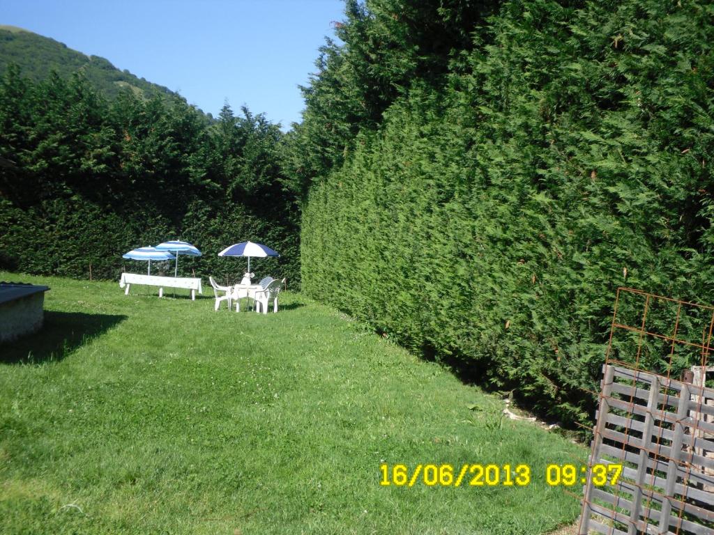 Příroda nedaleko bed and breakfast
