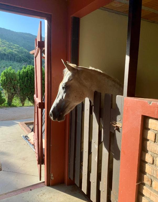  Casa de campo haras rancho queimado