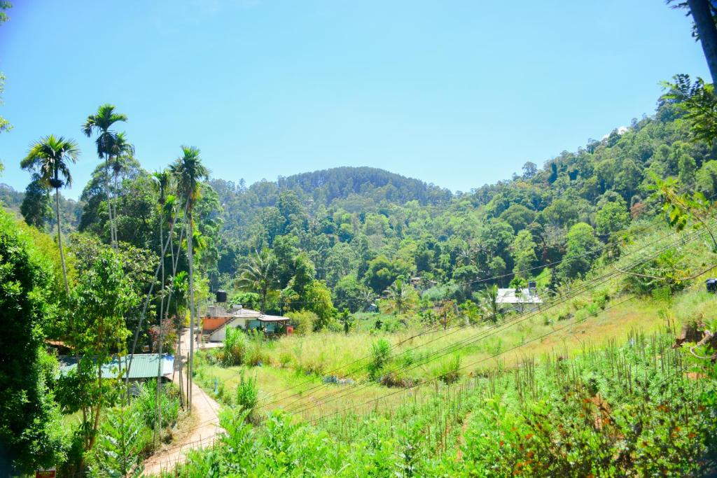 a view of a hillside with palm trees at Ella Supreme Villa in Ella