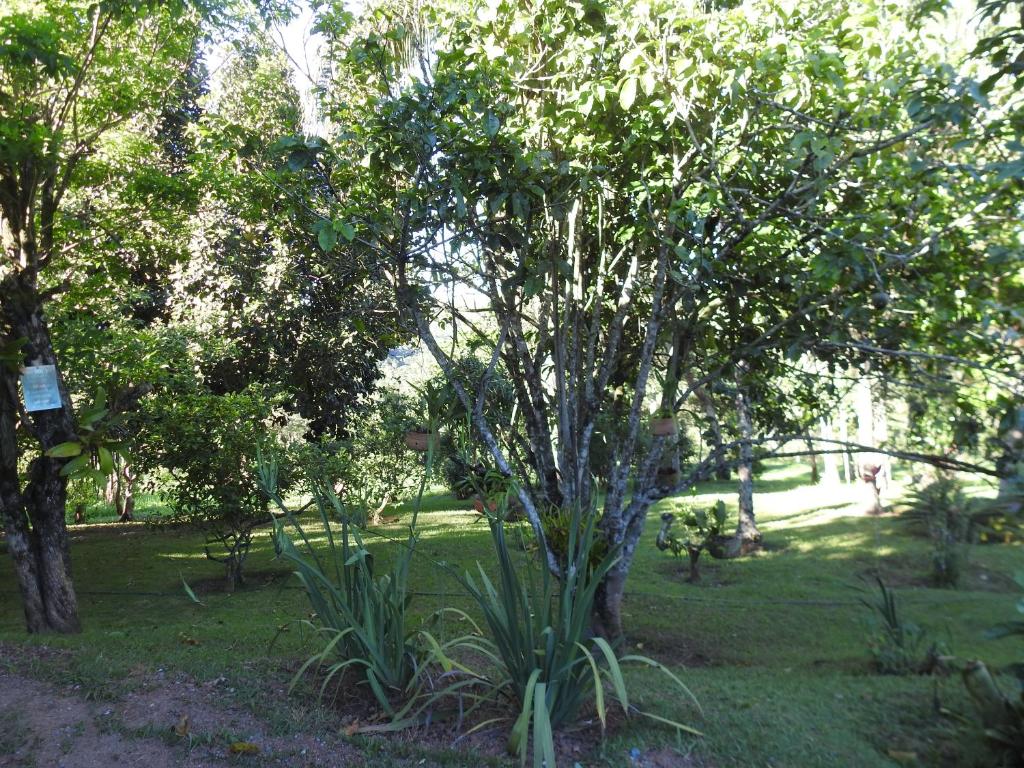  Pousada Suçuarana