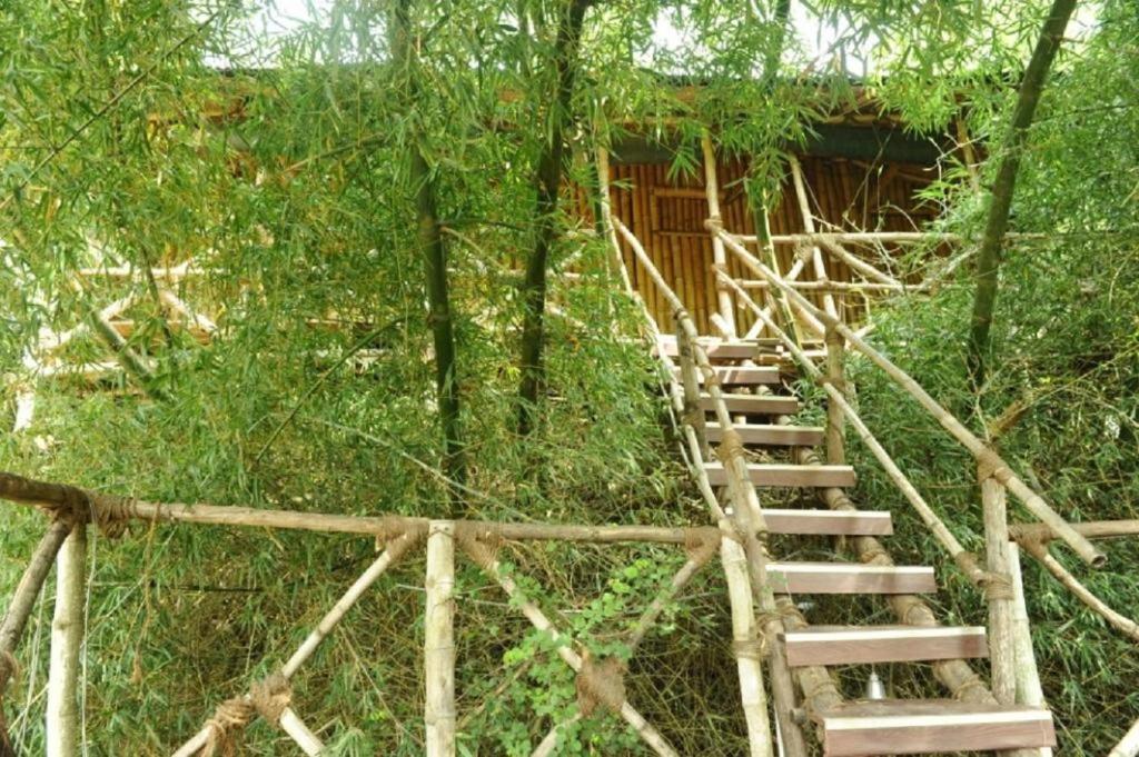a wooden staircase leading to a cabin in the woods at River Valley Resort in Masinagudi
