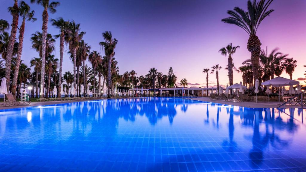 una grande piscina con palme sullo sfondo di Louis Phaethon Beach a Paphos