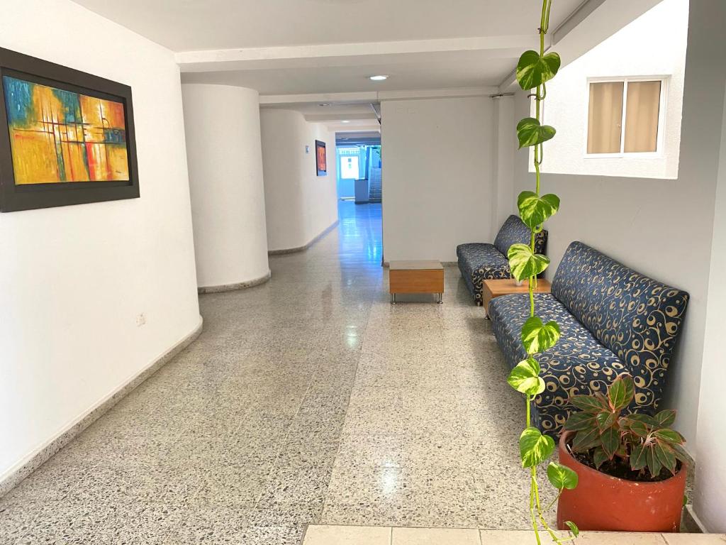 a living room with couches and a plant in the middle at Hotel Arawak Upar in Valledupar