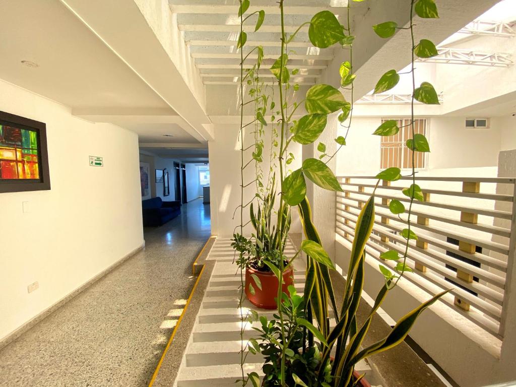 a hallway with potted plants in a building at Hotel Arawak Upar in Valledupar