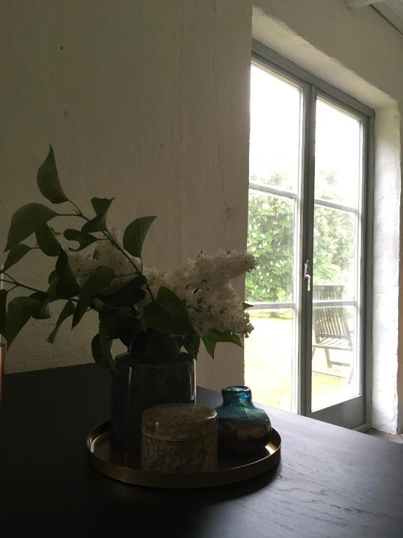 Fotografie z fotogalerie ubytování Österlencharm v destinaci Löderup