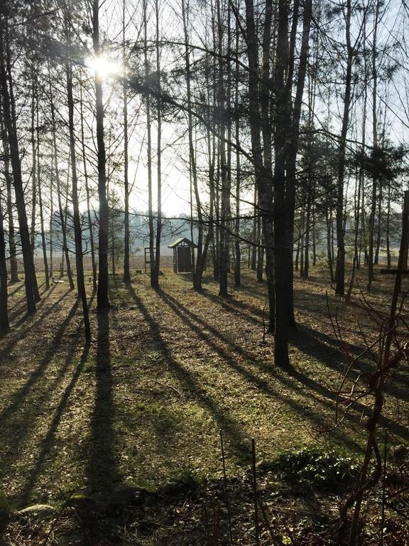 Příroda nedaleko luxury tent