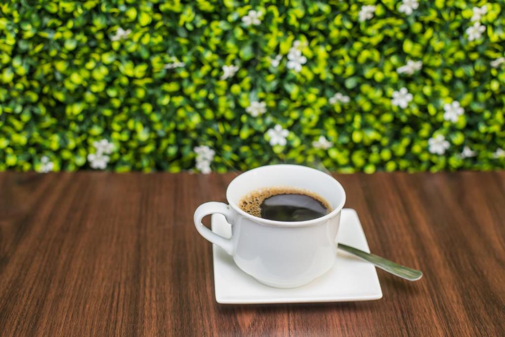 Příslušenství pro přípravu čaje a kávy v ubytování Hotel Verona