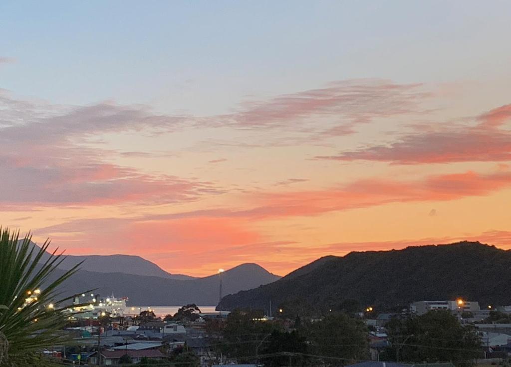 Koru Havenz - Resim 11