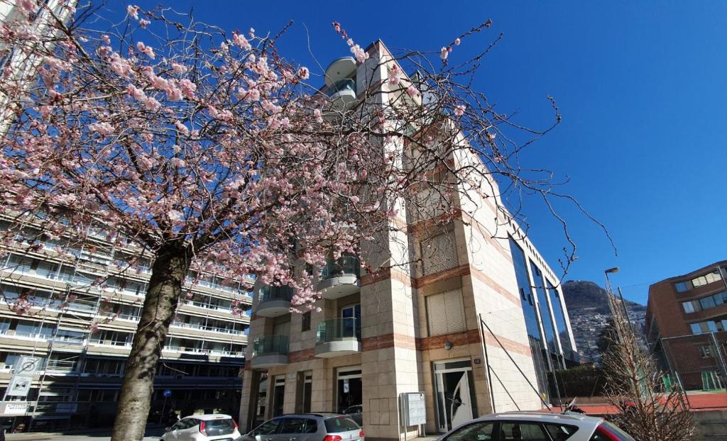 El edificio en el que está el departamento