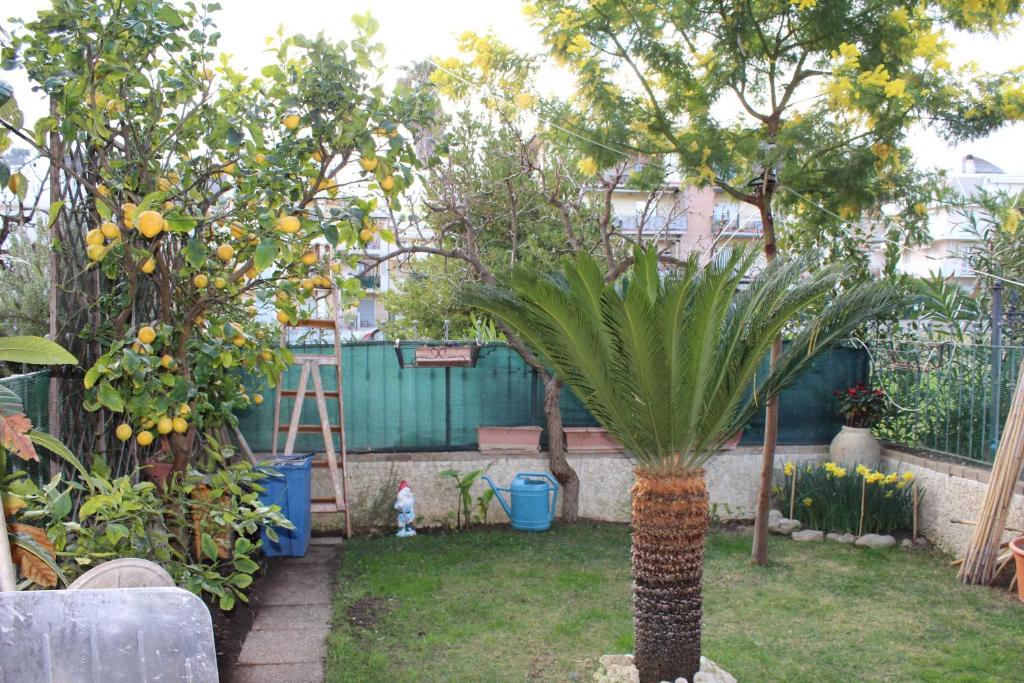 Ogród w obiekcie B&B Villa Lilla