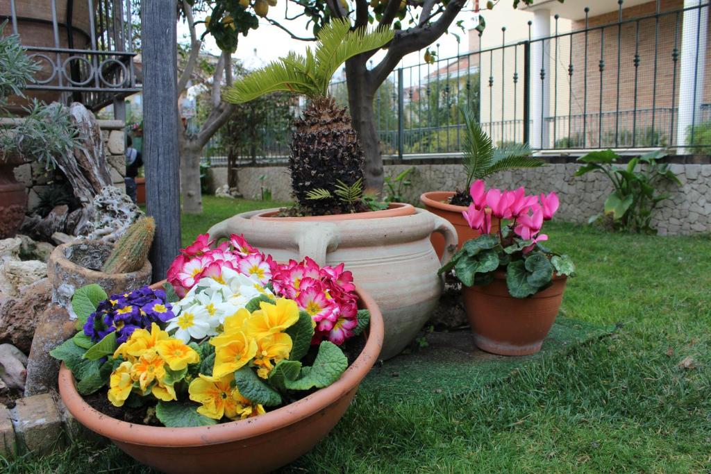 Ogród w obiekcie B&B Villa Lilla