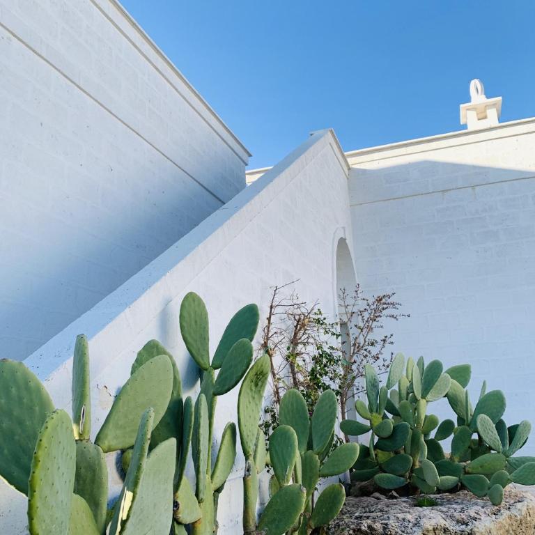 Fotografie z fotogalerie ubytování Masseria San Francesco v destinaci Savelletri di Fasano