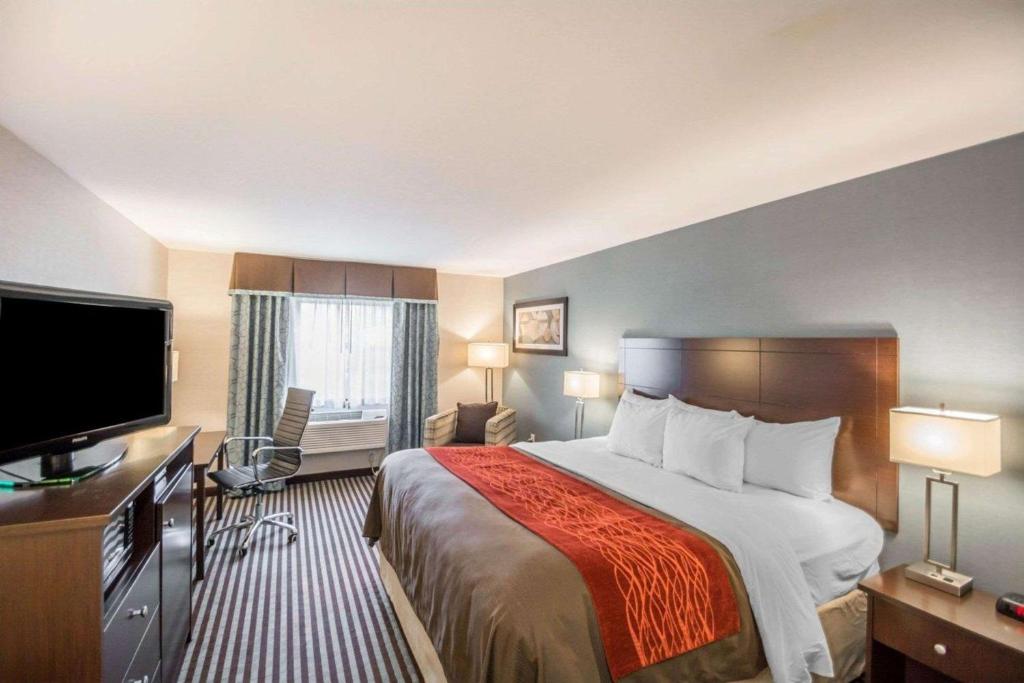 Quality Inn - Room King - Non-fumeur