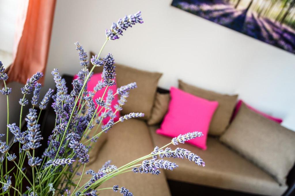 Mare & Mons Seafront Apartments - 17