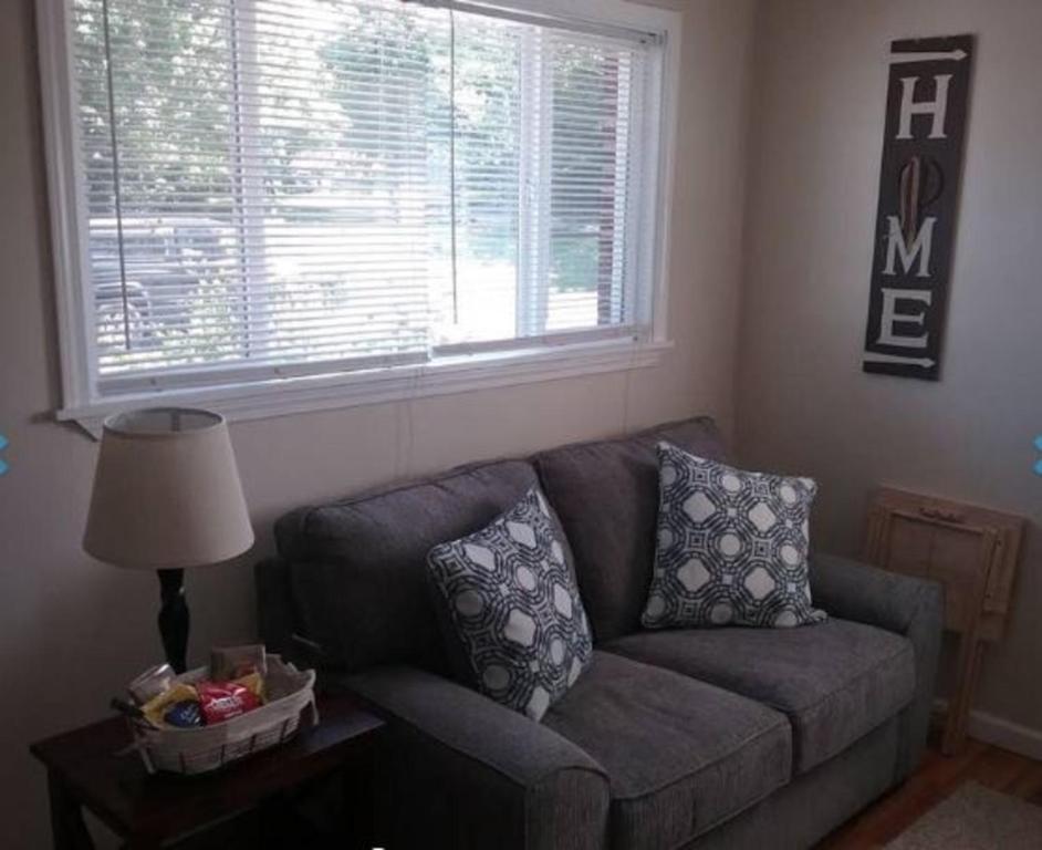 a living room with a couch and a window at Cozy 1 BR Efficiency Apt close to TTU and Downtown in Cookeville