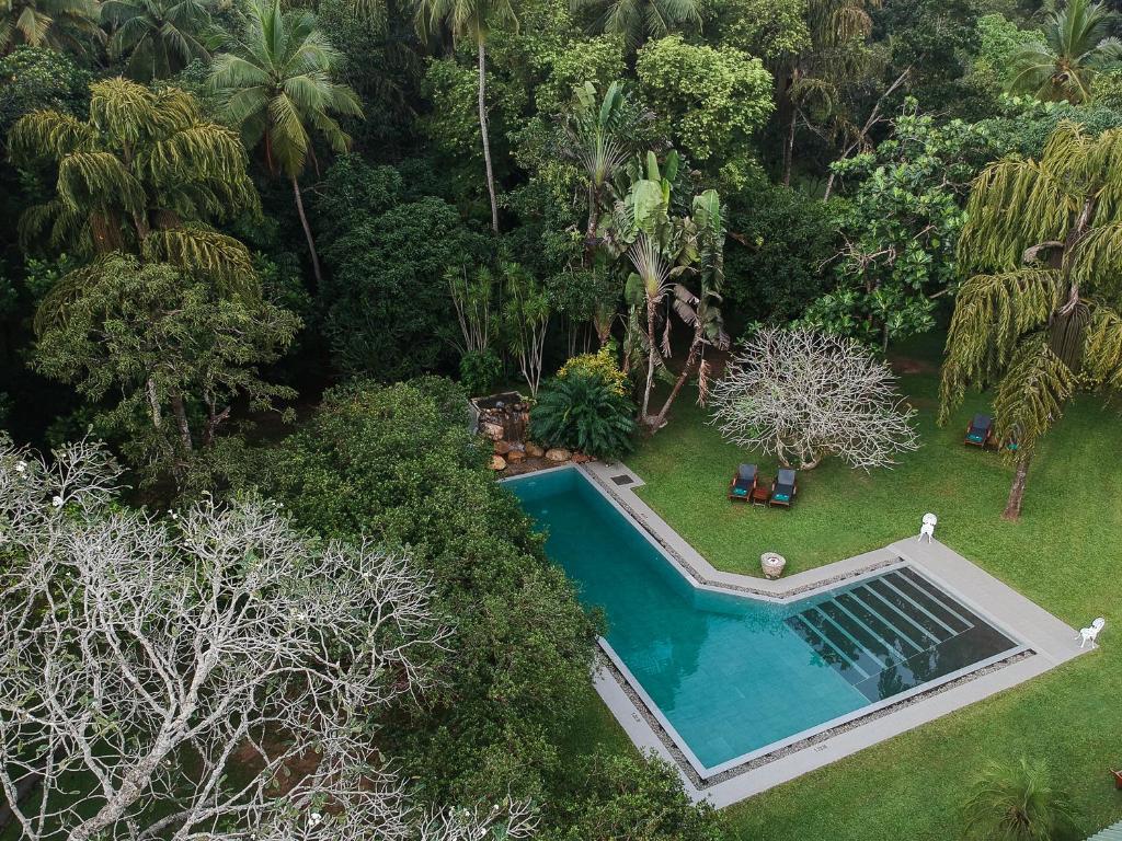 an aerial view of a swimming pool in a garden at Horathapola Estate in Marawila