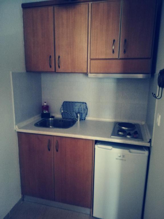 Kuchyň nebo kuchyňský kout v ubytování Guesthouse Axieros