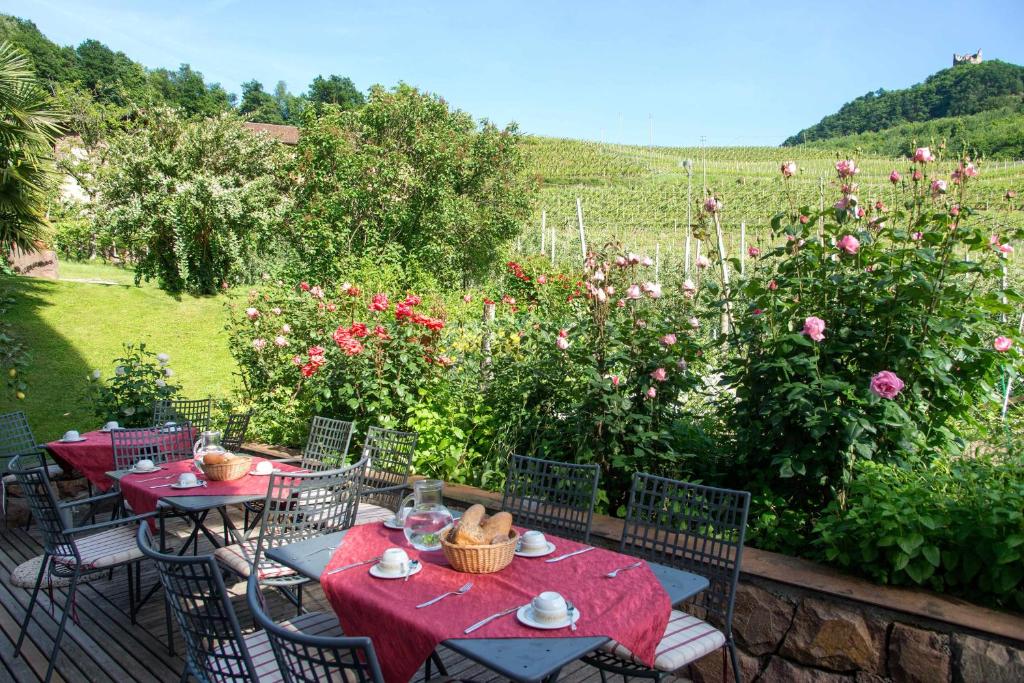 Příroda nedaleko bed and breakfast