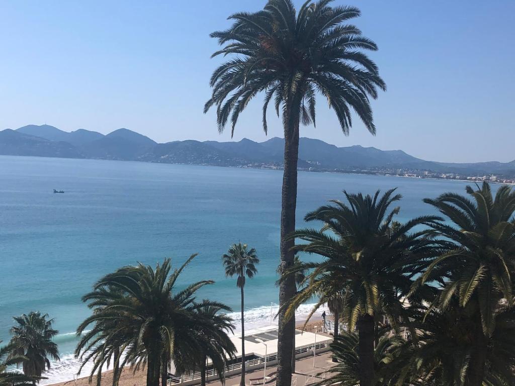 vistas a una playa con palmeras y al océano en Coeur de Cannes, en Cannes