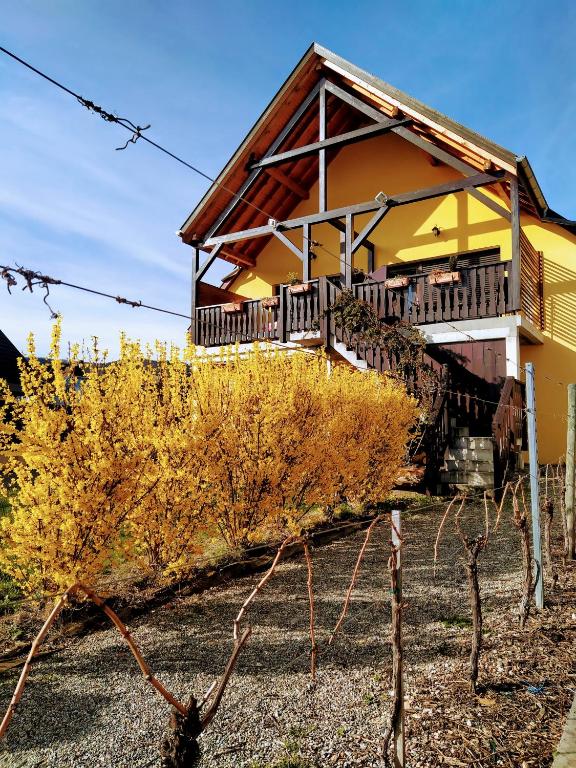 Zahrada ubytování Alsace Appartements Meyer-Krumb