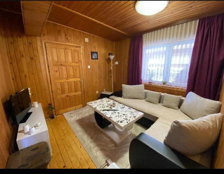 扎布利亚克Apartment Aleksić的带沙发和桌子的客厅