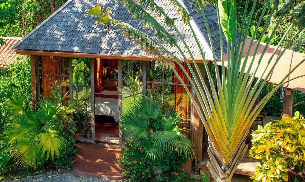 Zahrada ubytování Anamaya Resort