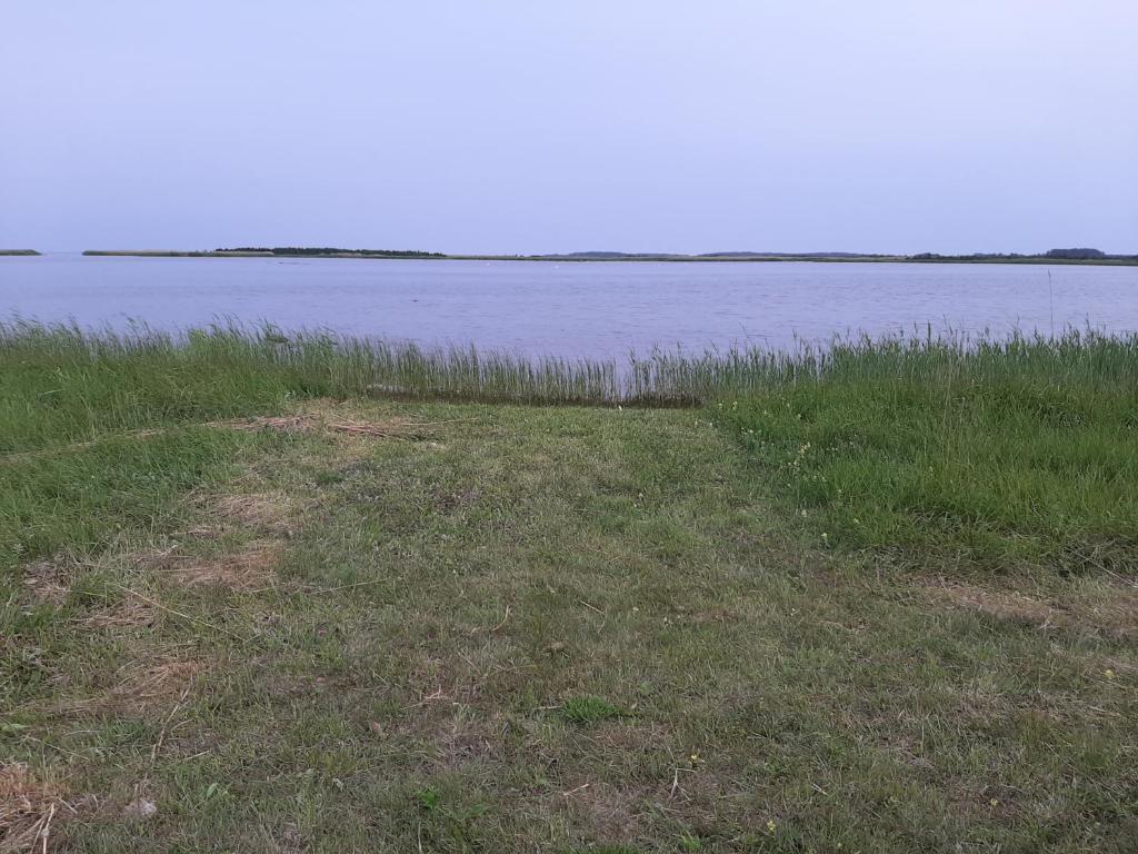 Příroda nedaleko prázdninového domu